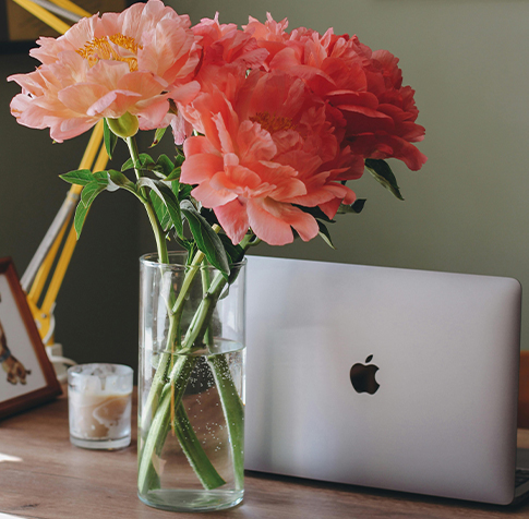 Newsletter Header