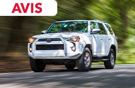 Avis
