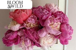 Bloom