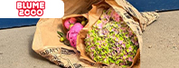 Gratis Vase ab einem Bestellwert von 39,99 €