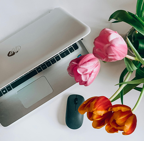 Newsletter Header
