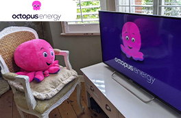 Octopus Energy