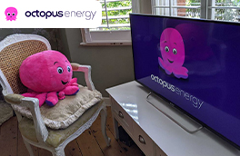 Octopus Energy
