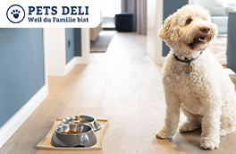 Gesundes Hunde- und Katzenfutter