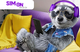 Simon Mobile