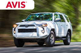 Avis