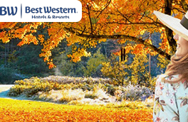 Deine Black Weeks: 20% auf Mode, Schuhe und mehr plus extra Cashback..