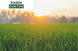 Rasendünger mit Langzeitwirkung
