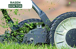Rasenpflege & Rasentechnik für perfekten Rasen