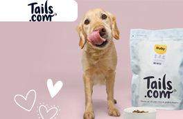 Bequeme Laufschuhe, coole Sneakers uvm - Jetzt 10,5% Cashback bei Skechers