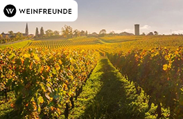 Weinfreunde