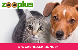 Spare bis zu 55% in den Black Friday Deals und erhalte einen 25€ Bonus ab 599€.