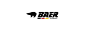BAER Tools DE logo