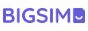 BIGSIM logo