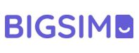 BIGSIM Logo