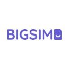 BIGSIM Logo