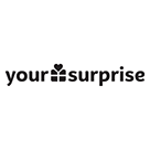 YourSurpise Logo